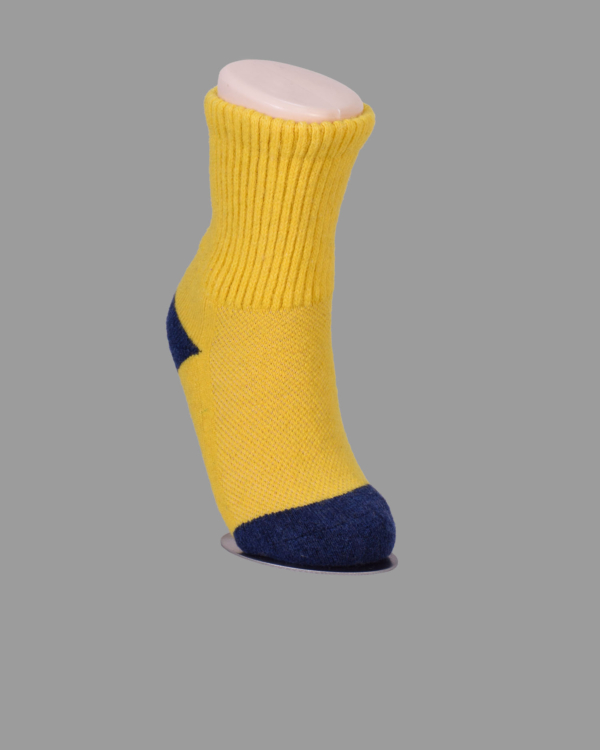 S10-2223-00-0005g-24