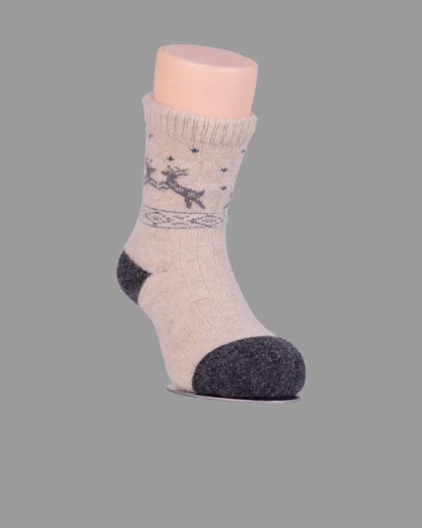 S10-1223-00-0001b-14