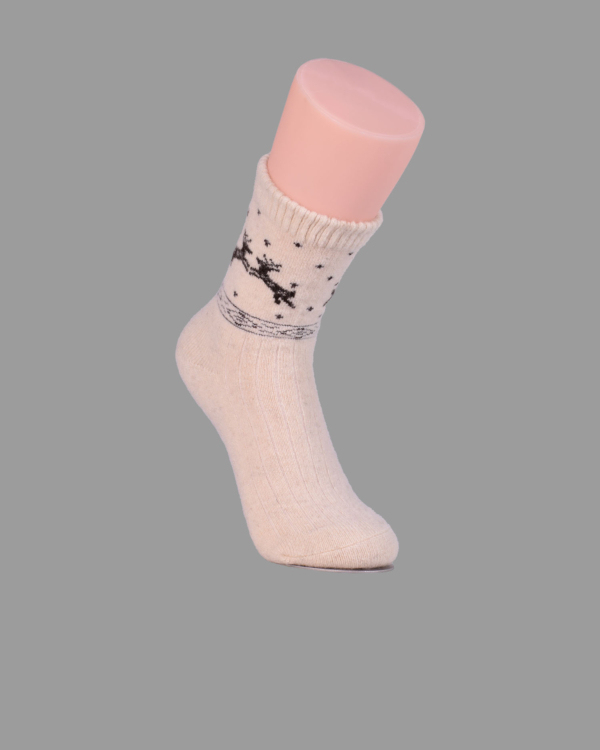 S10-1223-00-0001d-14