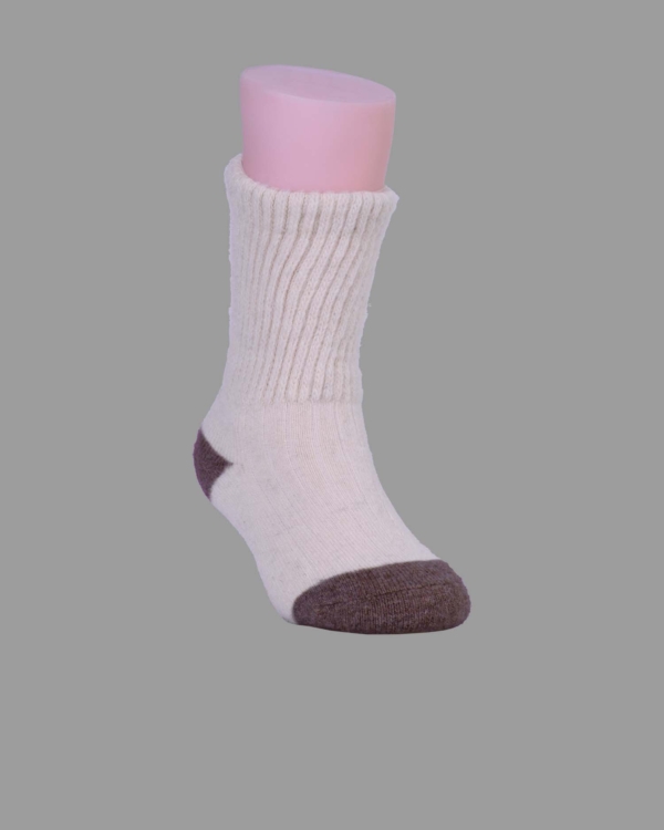 S10-1223-00-0007b-14