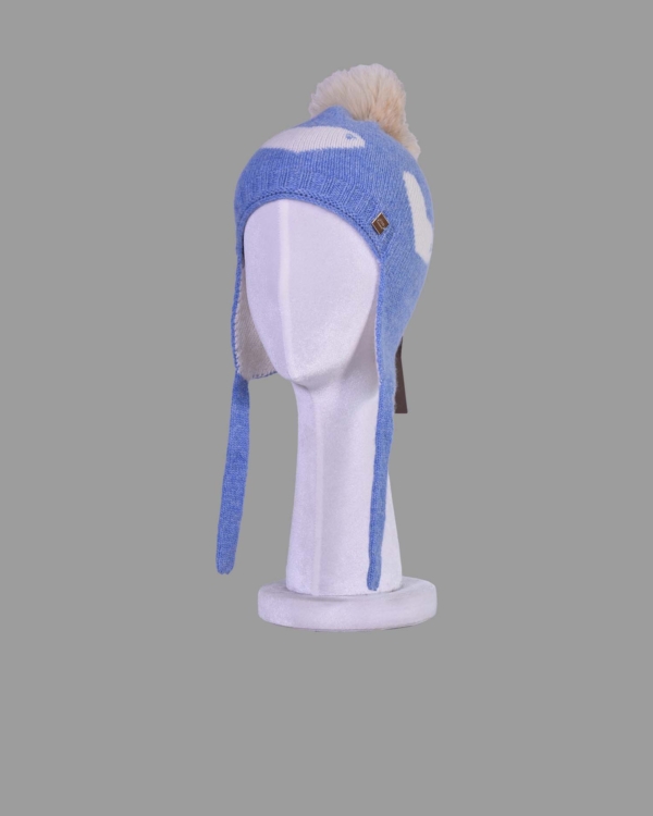 G910-1200-FS-4731-C2250