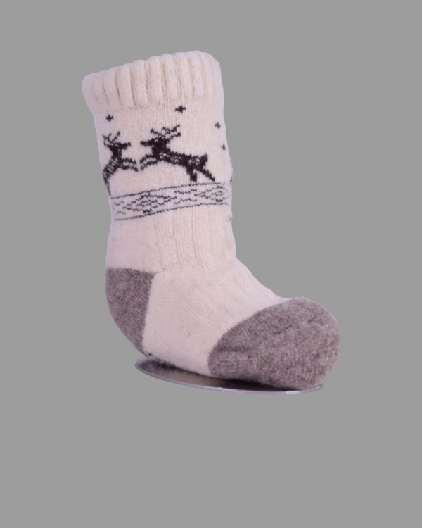 S10-1223-00-0001b-14