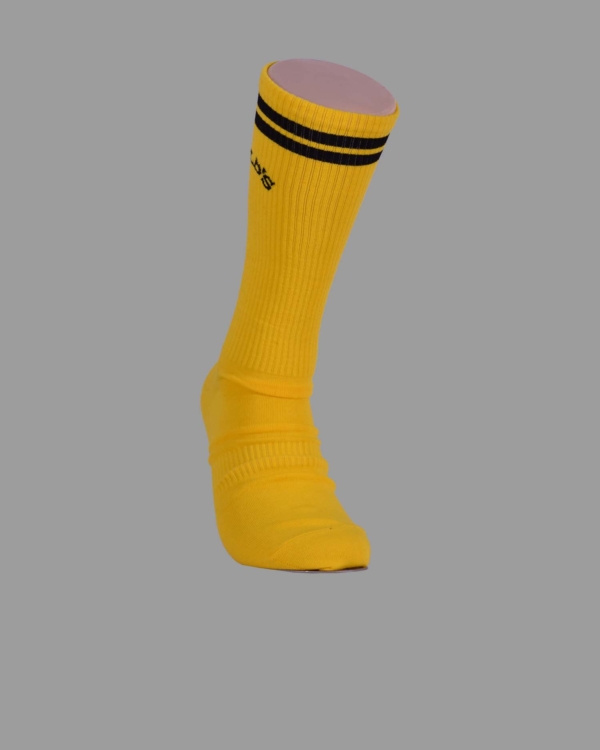 N40-1102-00-0055-Gold's gim