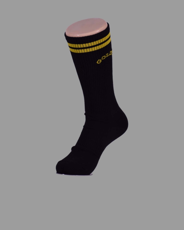 N40-2102-00-0055-Gold's gim