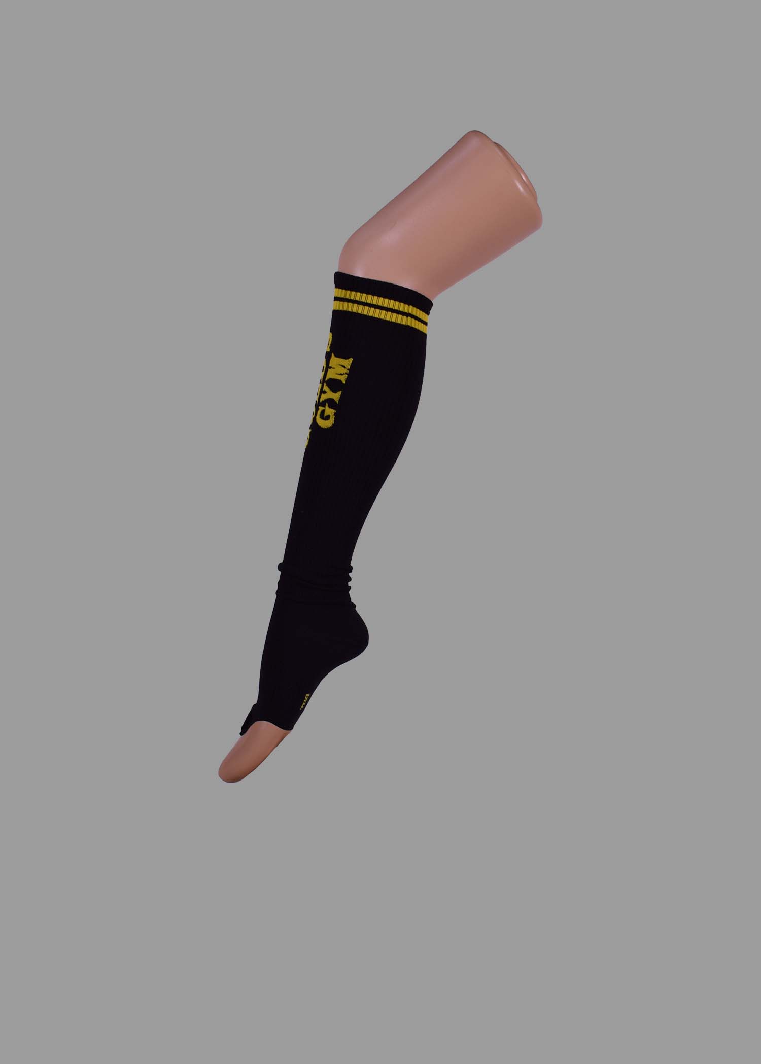 N40-2101-00-0055-Gold's gim - Image 2