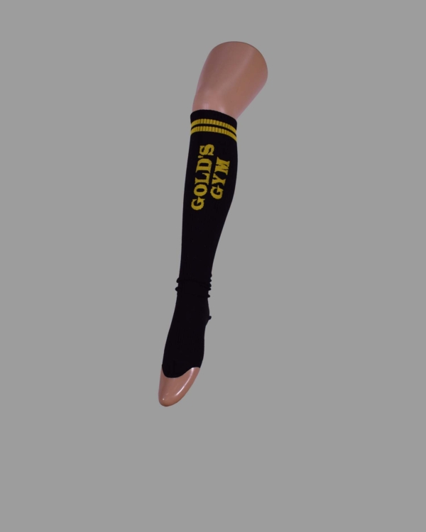 N40-2101-00-0055-Gold's gim