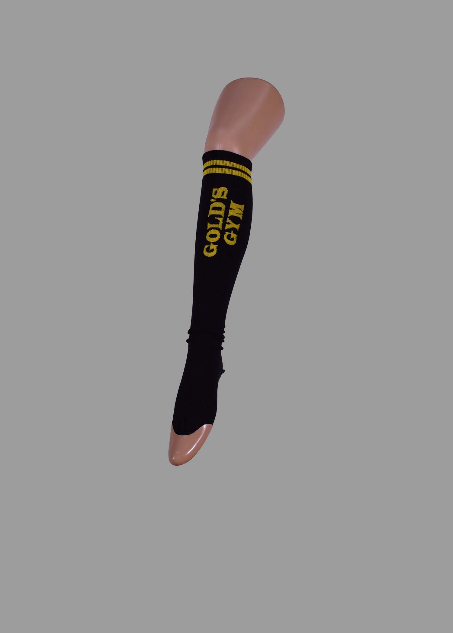 N40-2101-00-0055-Gold's gim