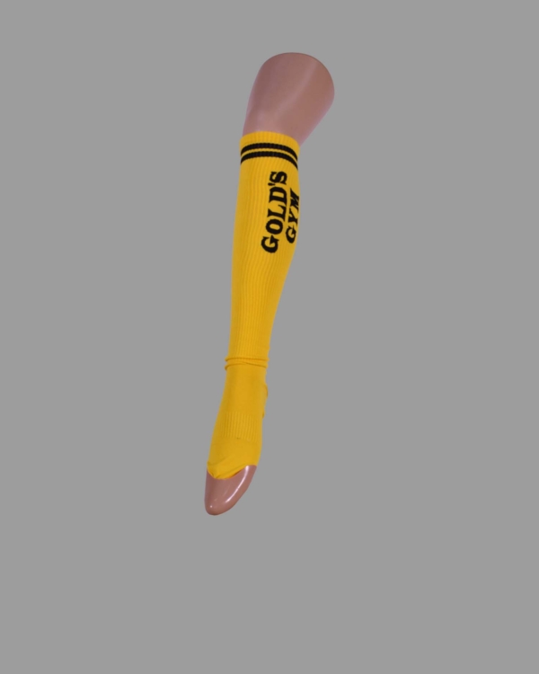 N40-1101-00-0055-Gold's gim