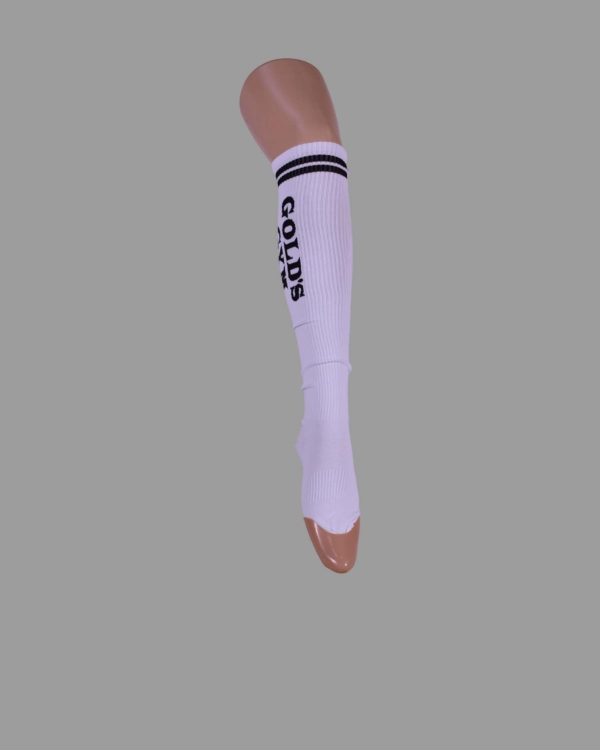N40-3101-00-0055-Gold's gim
